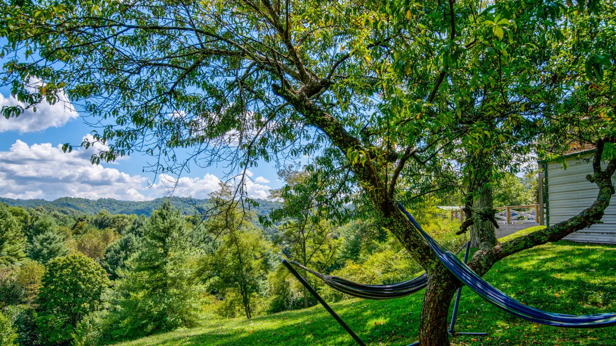 This serene exterior scene shows hammocks strung between tree branches overlooking majestic mountain views. The setting is tranquil and immersive, highlighting opportunities for relaxation and connection with nature just outside the lodge.